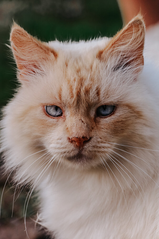 Photograph by Alisa Lisova