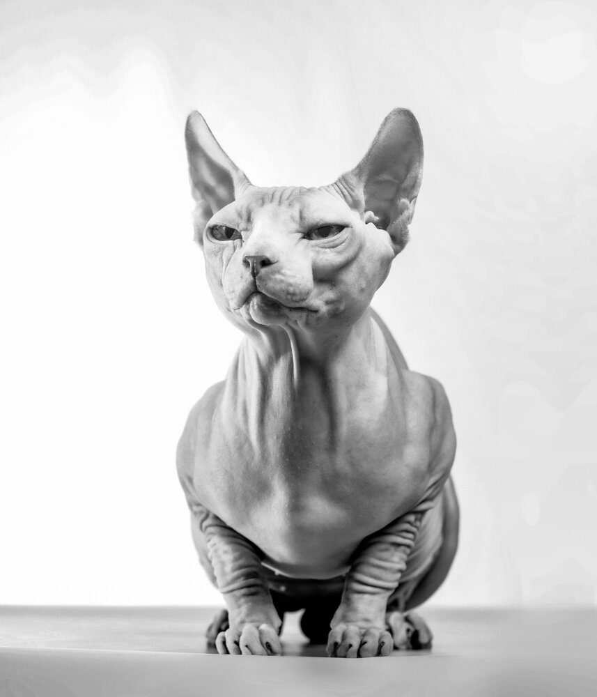 Photograph by Светлана Щемелева