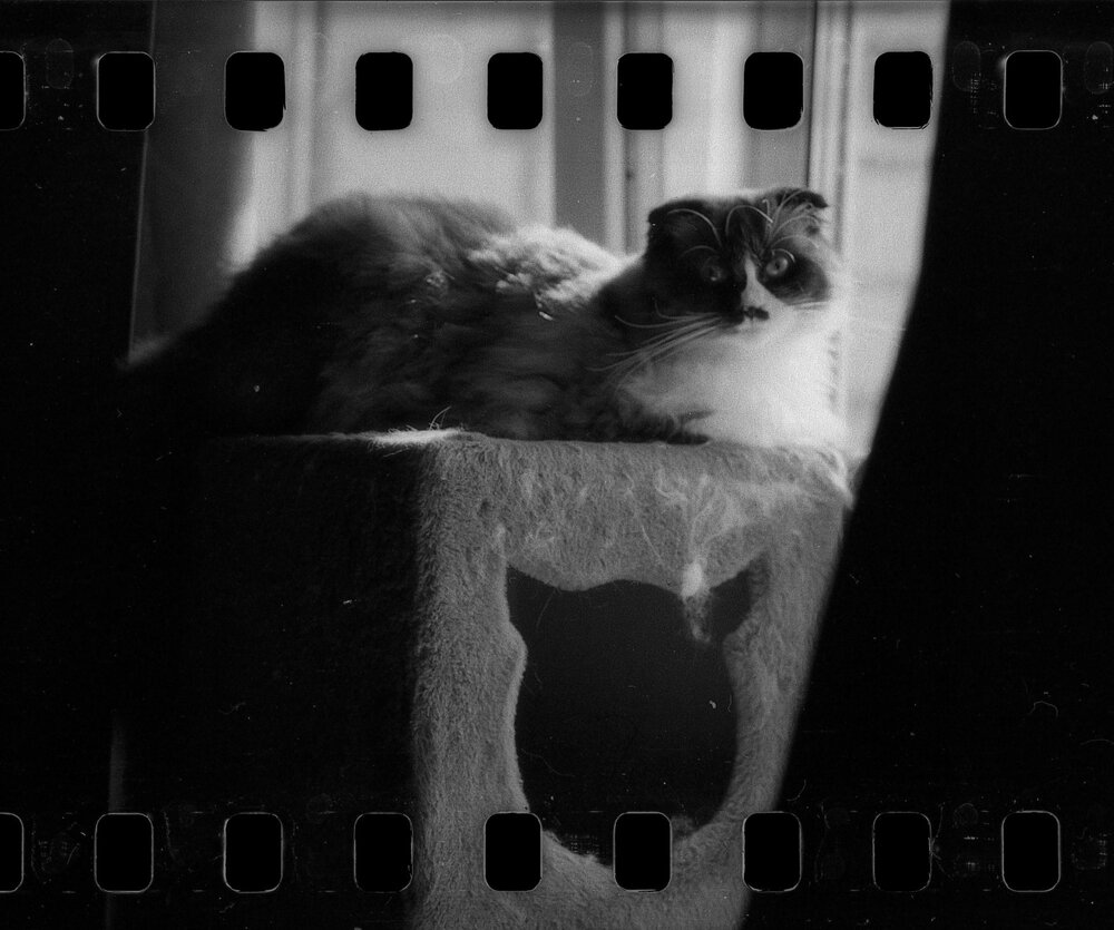 Photograph by Геннадий Балабонов