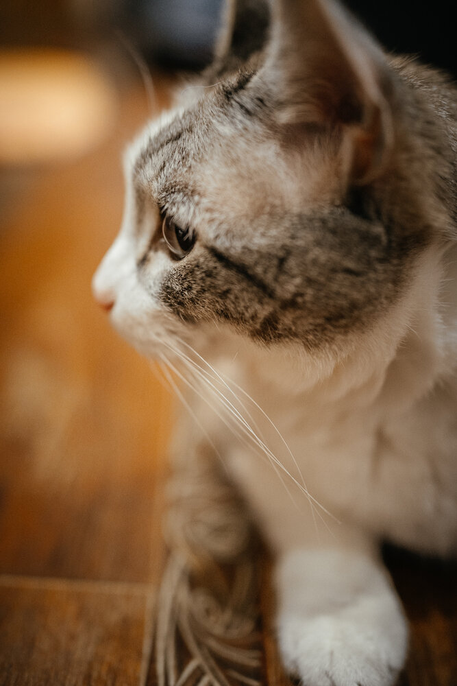 Photograph by Юлия Арт