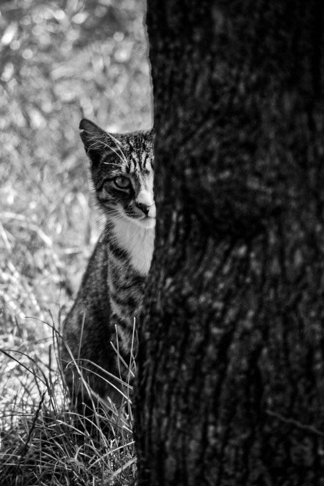 Photograph by Alisa Lisova