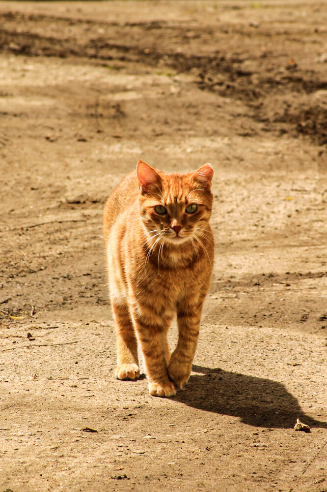 Photograph by Alisa Lisova