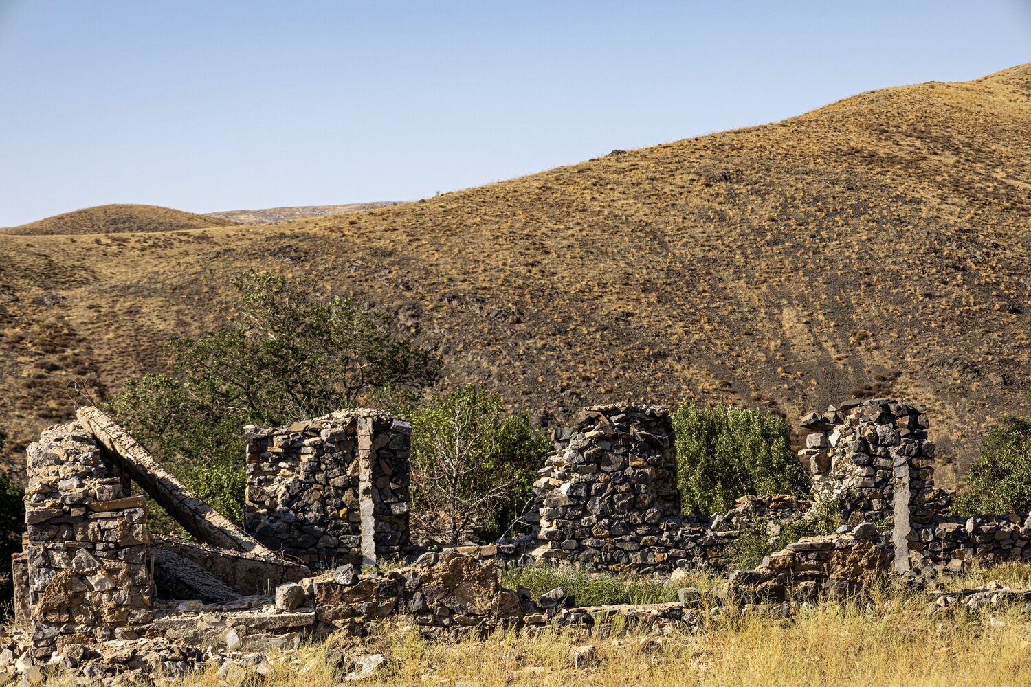 Photo #14056444