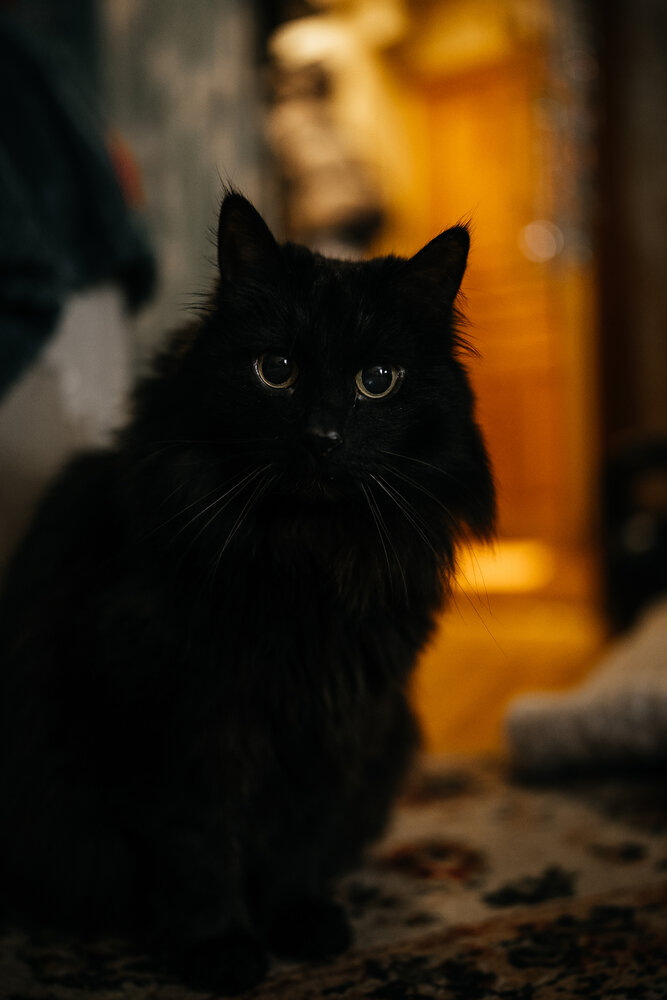 Photograph by Юлия Арт
