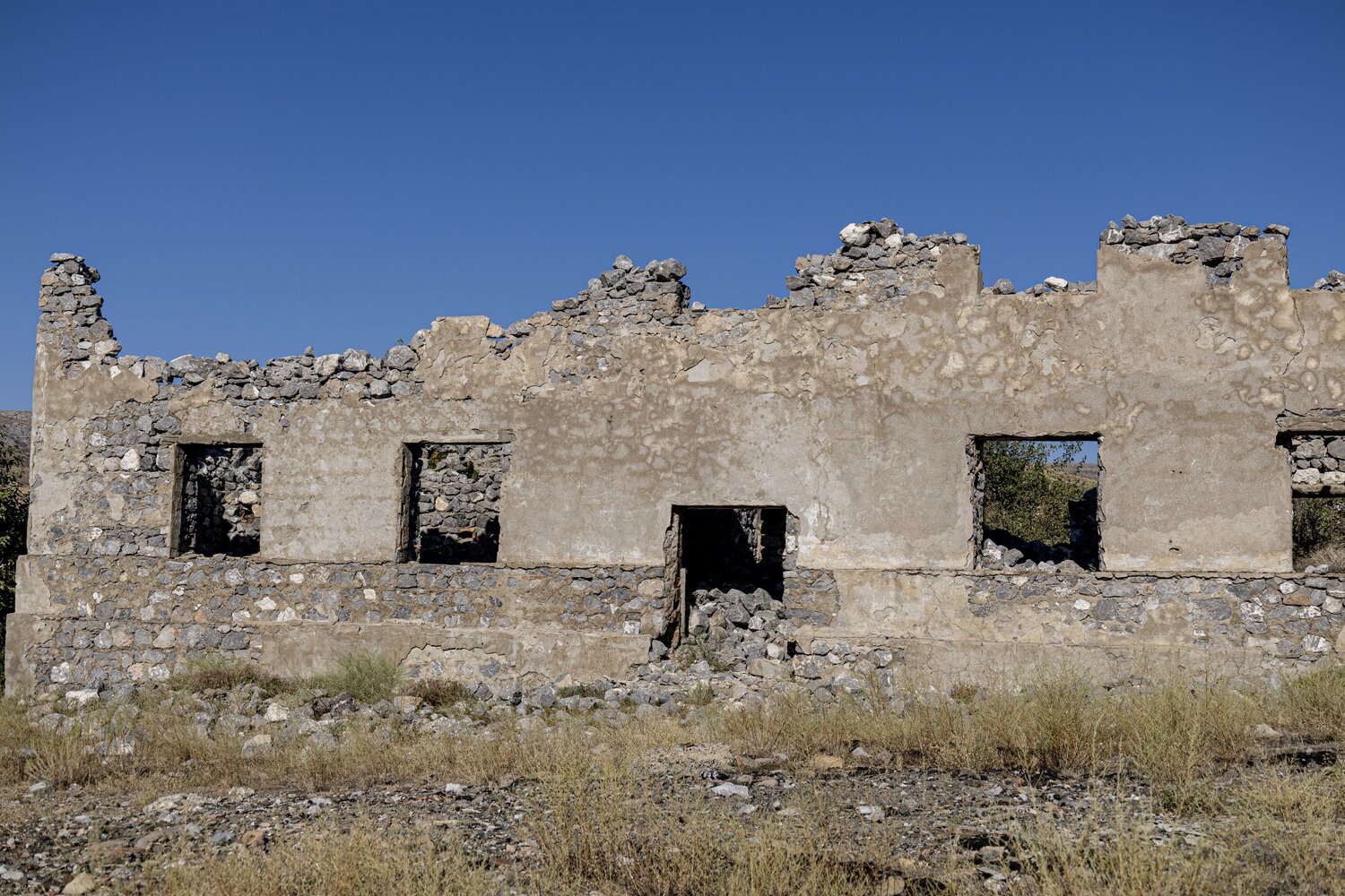 Photo #14056451