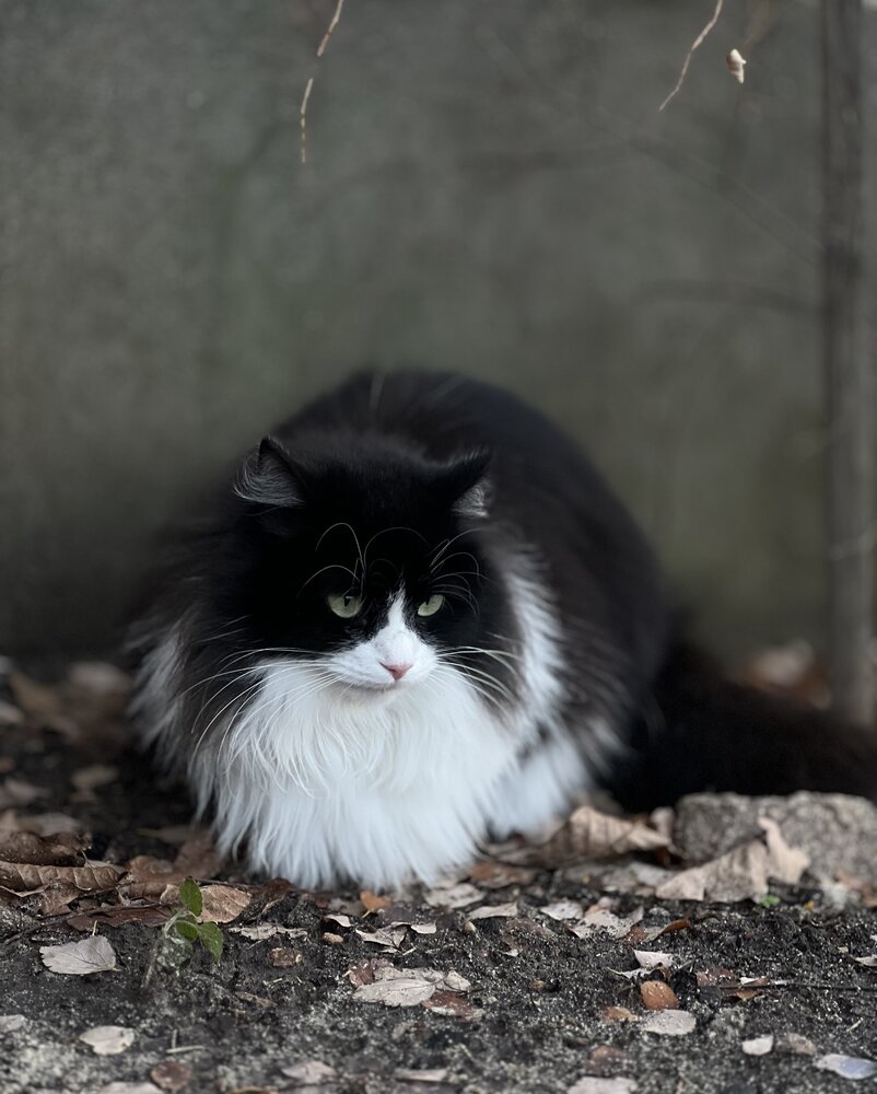 Photograph by Ольга Скиба