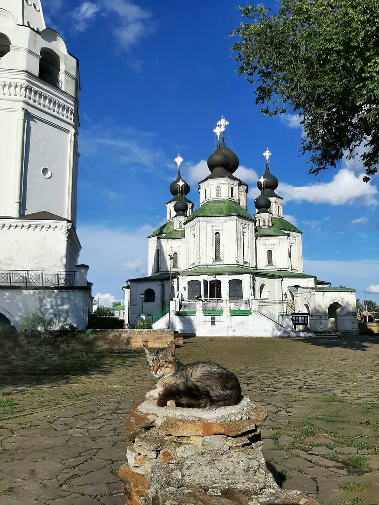 Фотография автора Наталья Гаврилова
