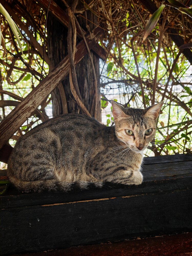 Photograph by Елена Пархоменко