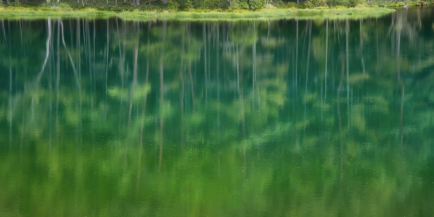 Brushstrokes of Ripples