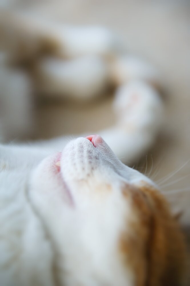 Photograph by Ирина