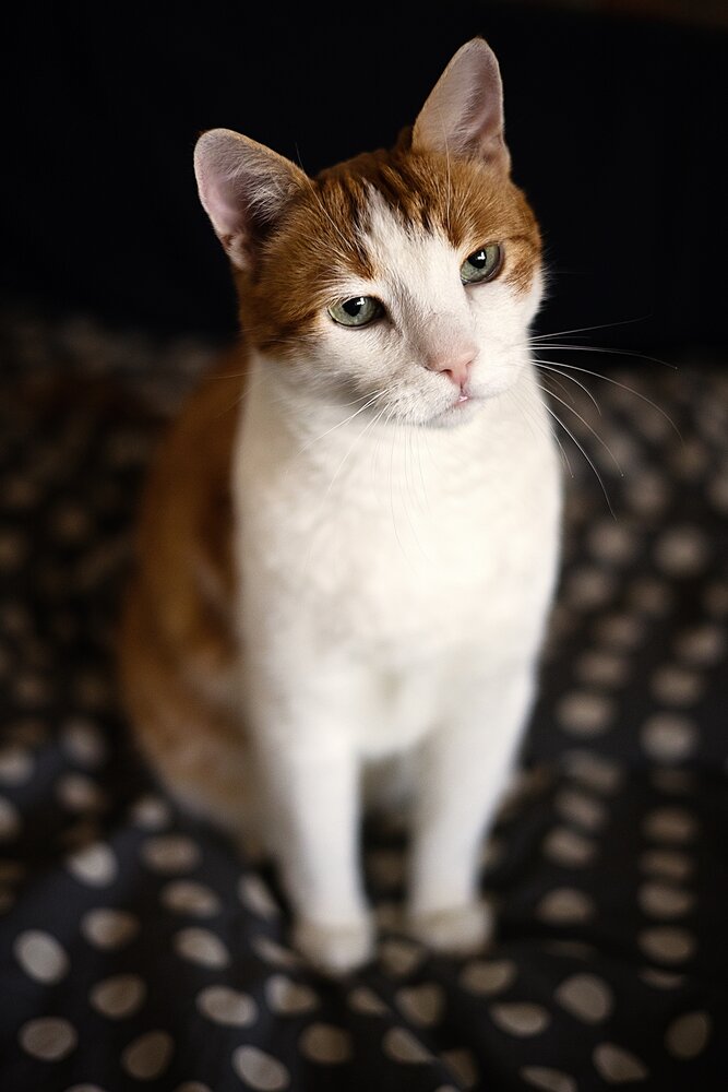 Photograph by Ирина