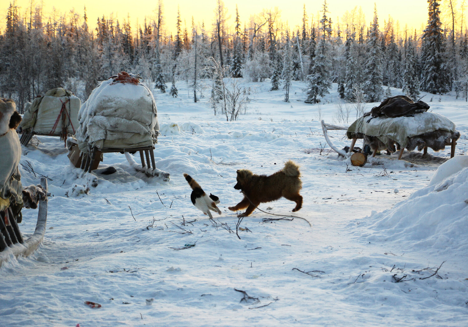 Photo #14056673