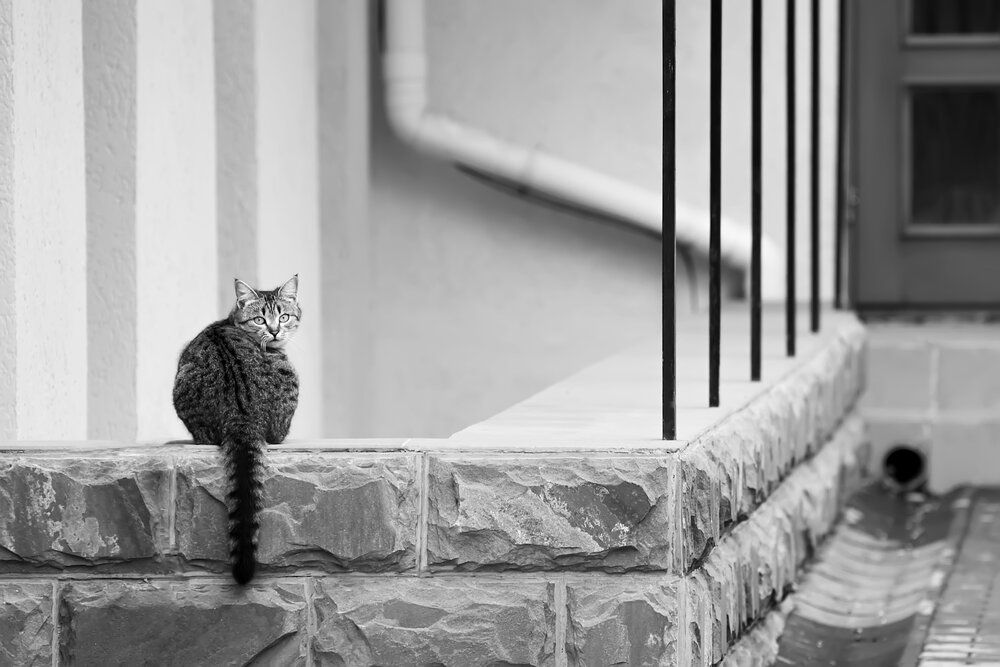 Photograph by Макуха Ольга