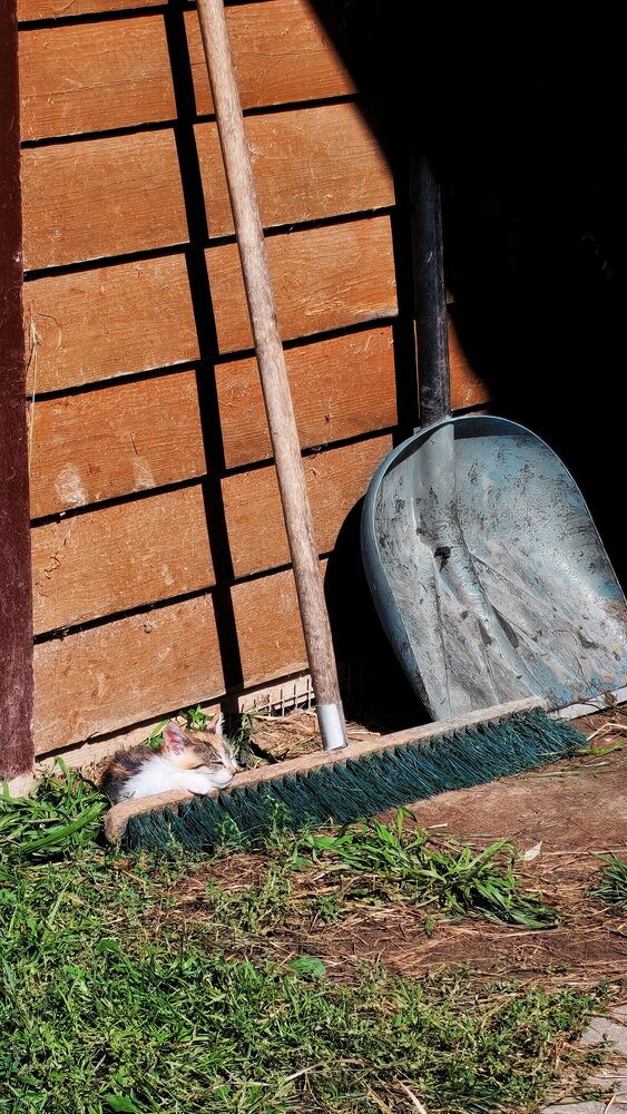 Photograph by Анна Кош