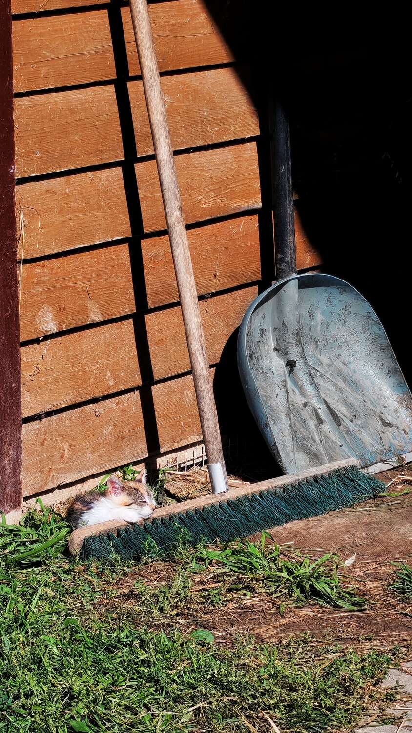 Photo #14056692