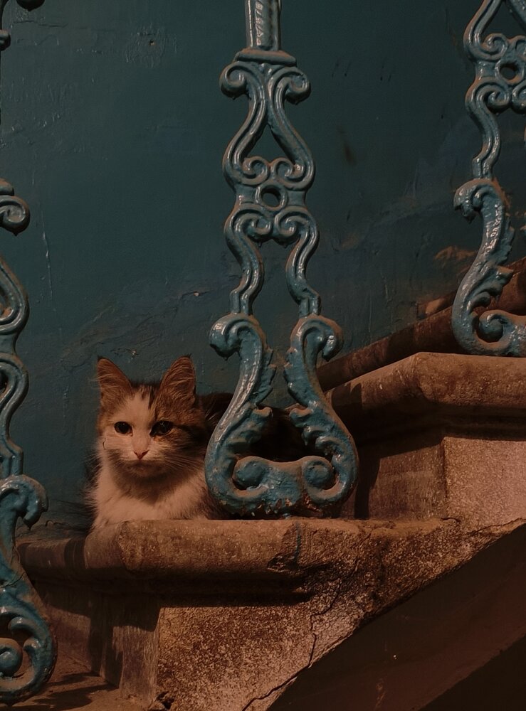 Photograph by Елизавета Бесхлебная