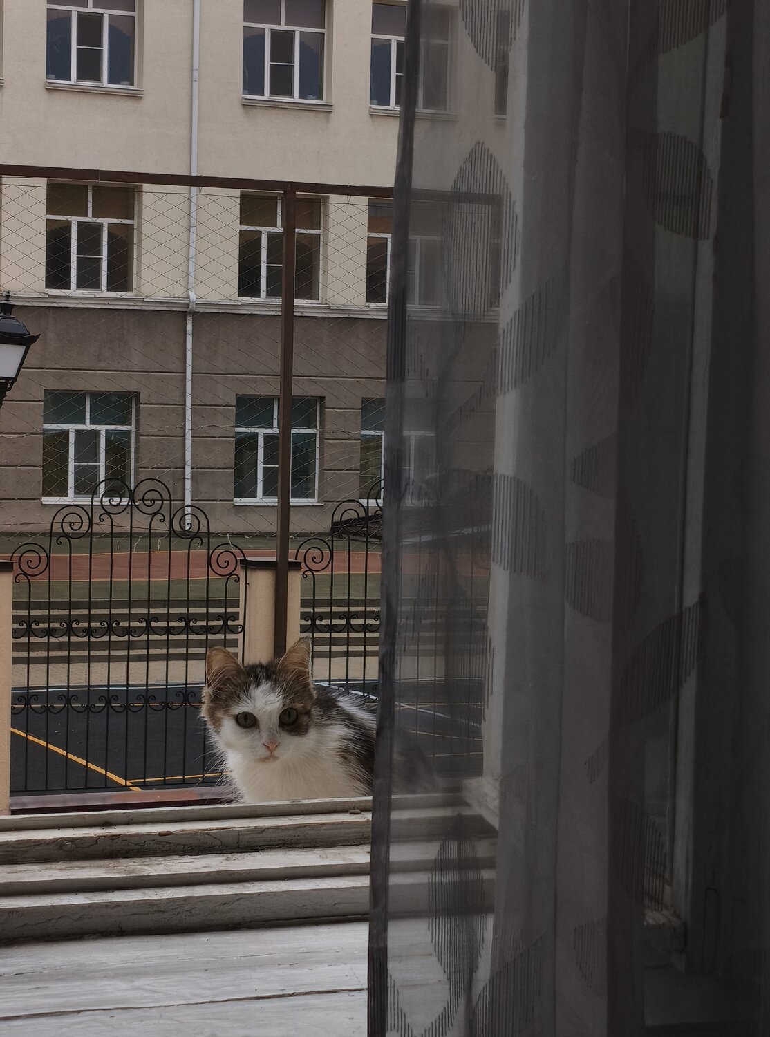Photo #14056752