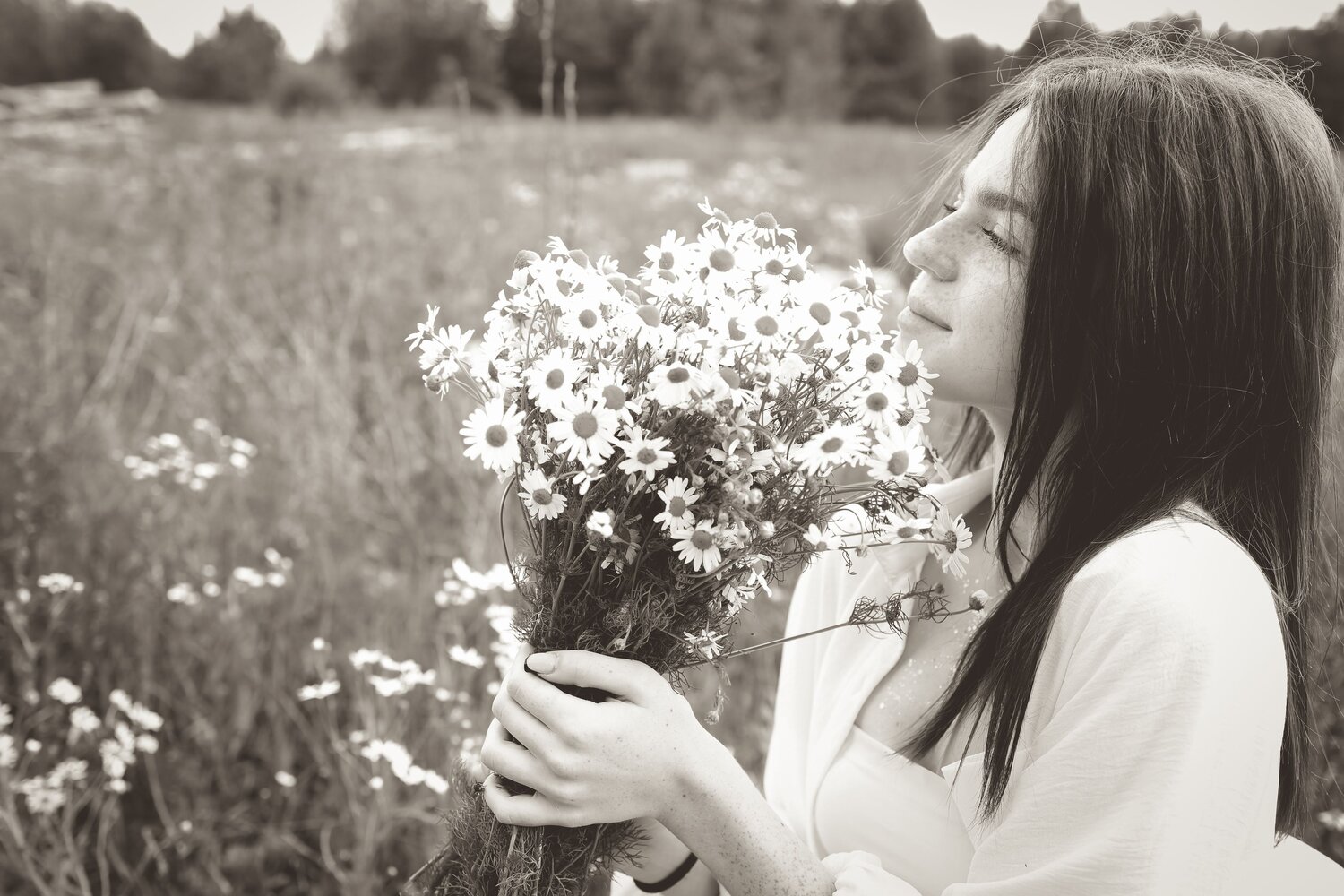 Photo #14056778
