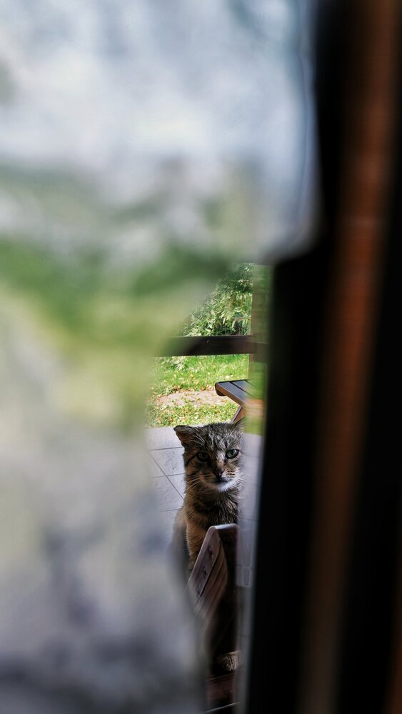 Photograph by Анна Кош