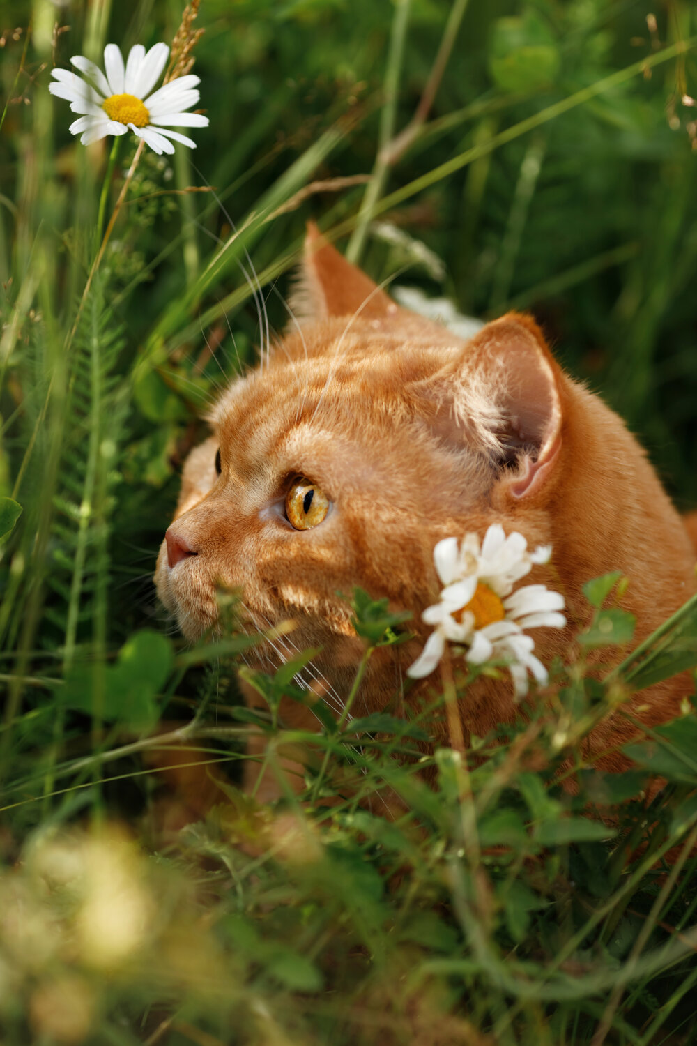 Photo #14056839
