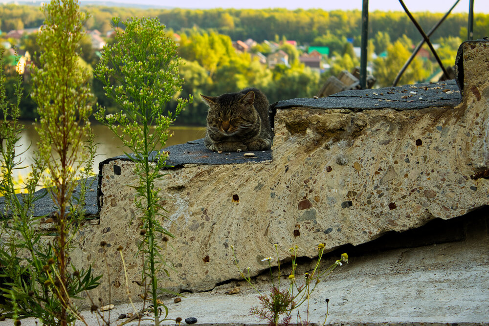 Photograph by Владислав Вормсбехер