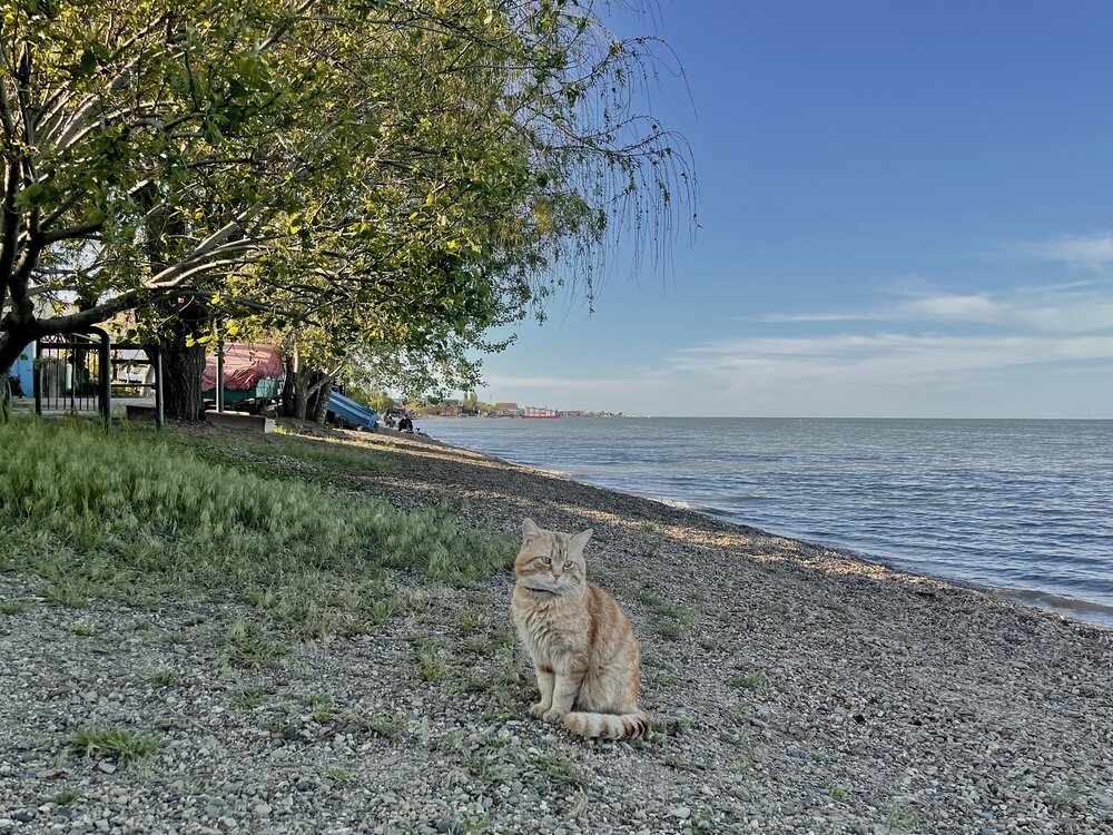 Photograph by Лена Суворова