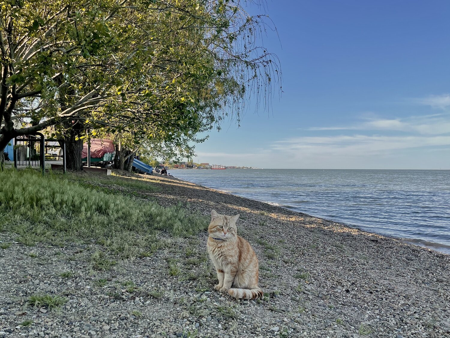 Photo #14056865
