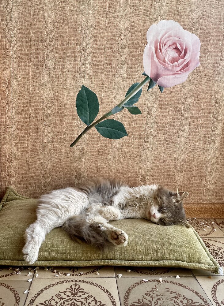 Photograph by Лена Суворова