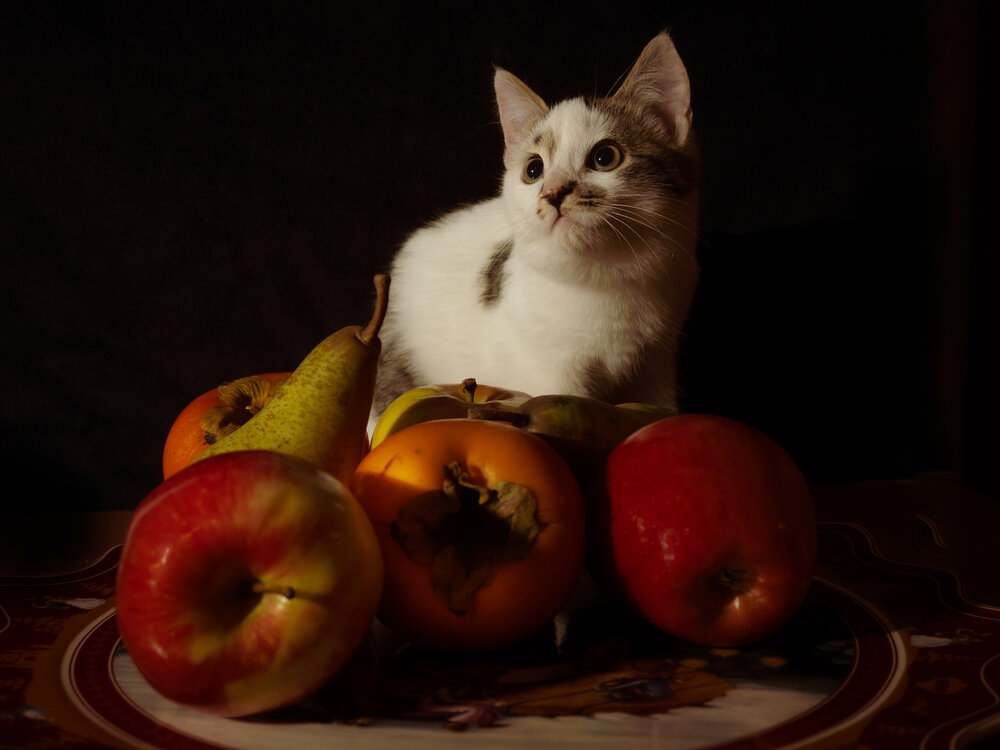 Photograph by Stefania Pelosi