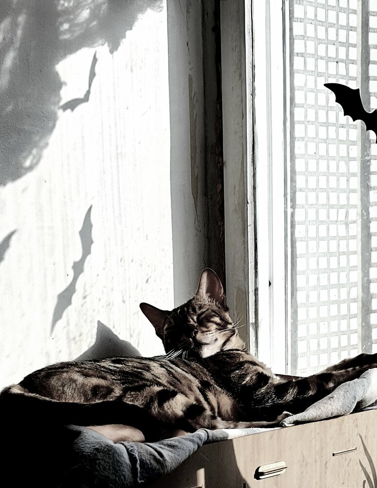 Photograph by Ольга Булавкина