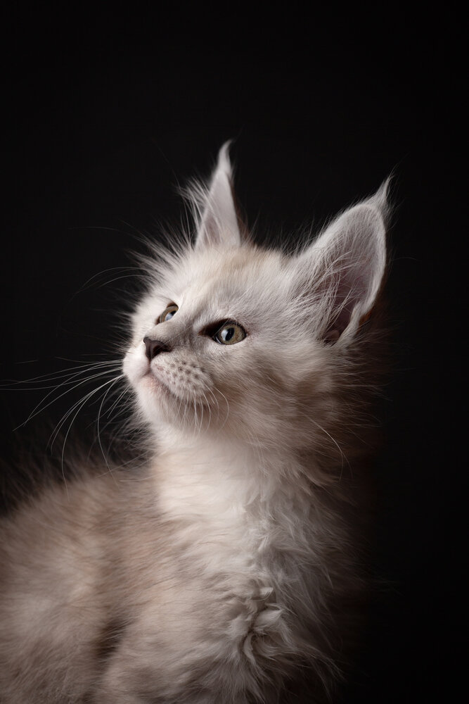 Photograph by Евгения Костусева