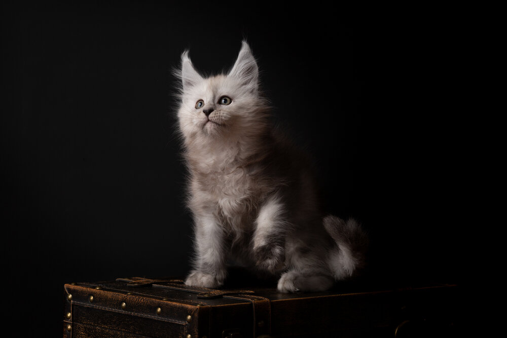 Photograph by Евгения Костусева