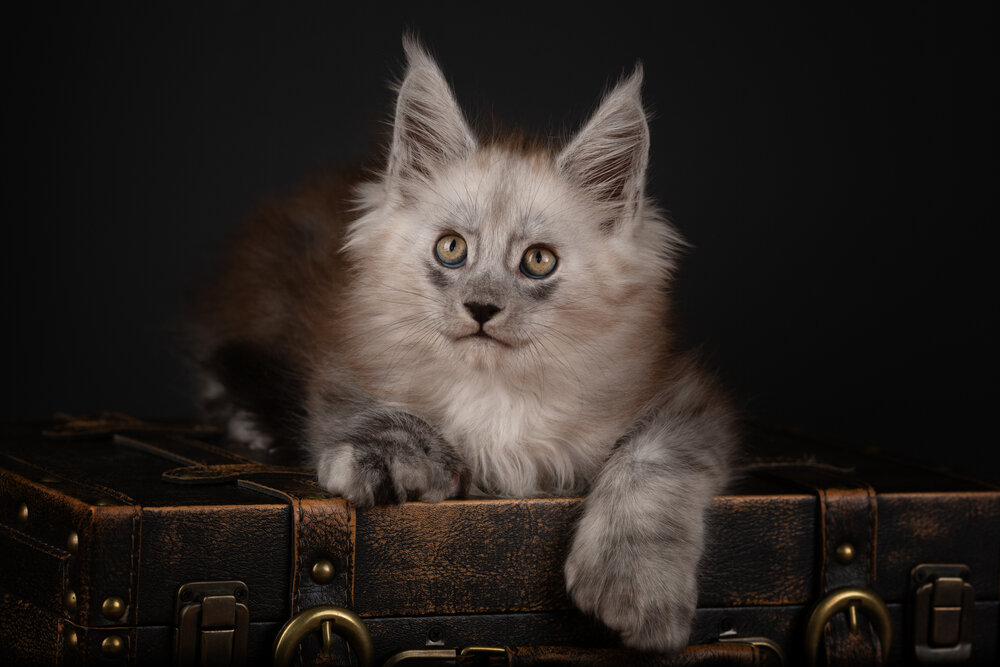 Photograph by Евгения Костусева