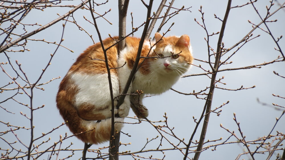 Photograph by Юлия Огальцева