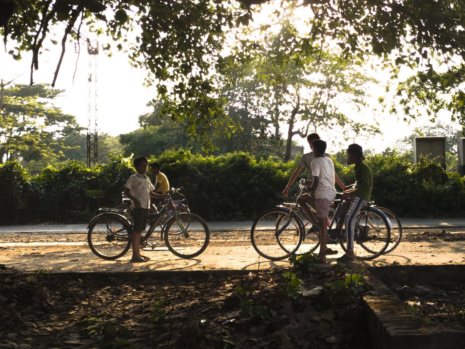 Evening Bicycles