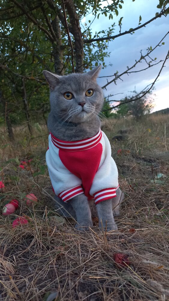Photo #14056976