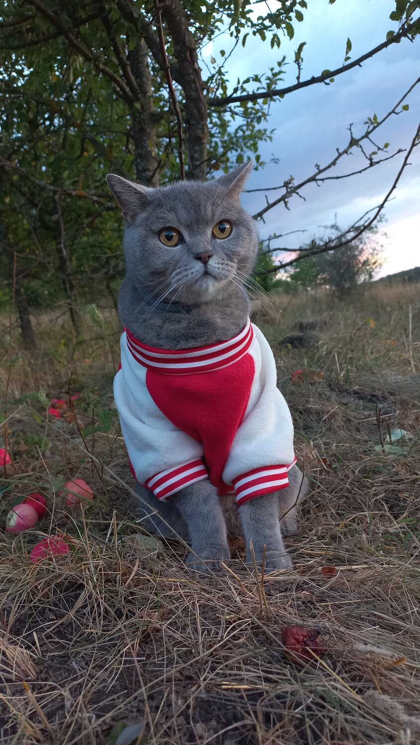 Photo #14056976