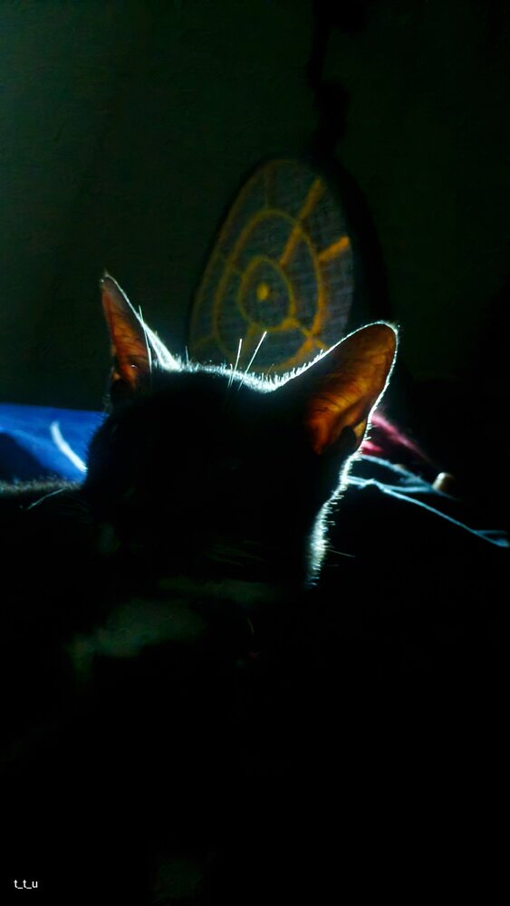 Photograph by Riya Reji