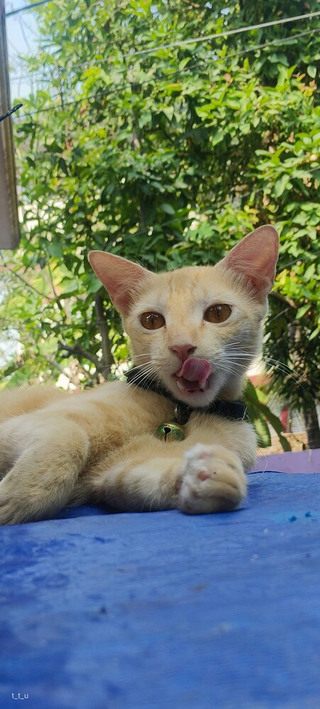 Photograph by Riya Reji