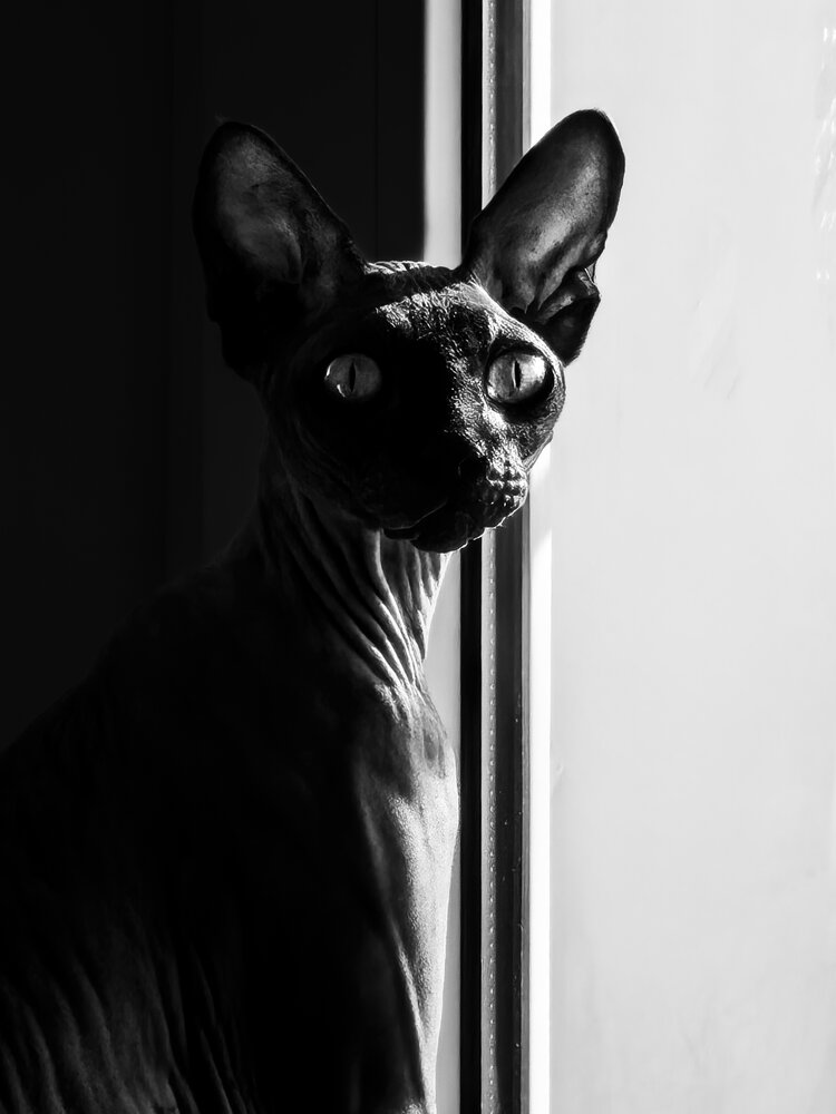 Photograph by Дмитрий Батраков