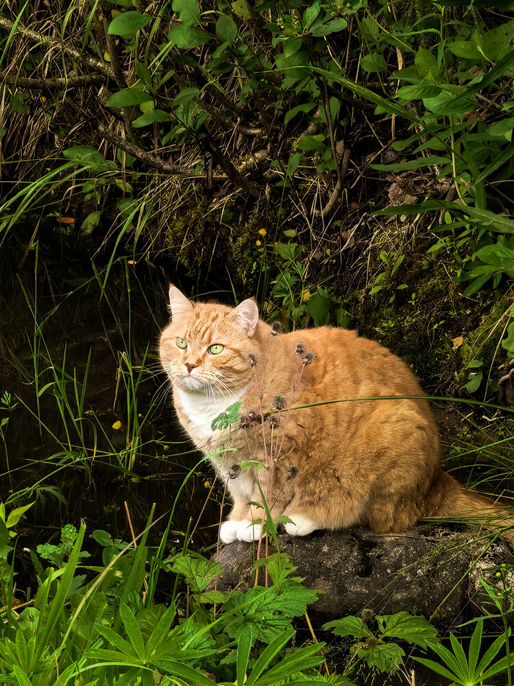 Photograph by Дмитрий Батраков