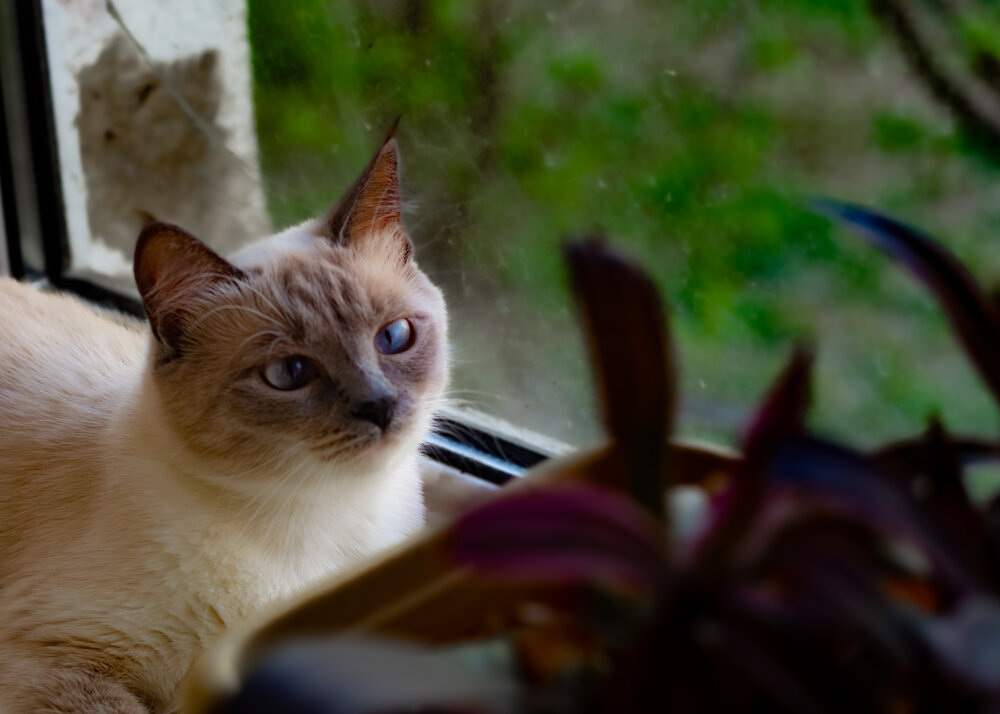 Photograph by Жанна Шорина