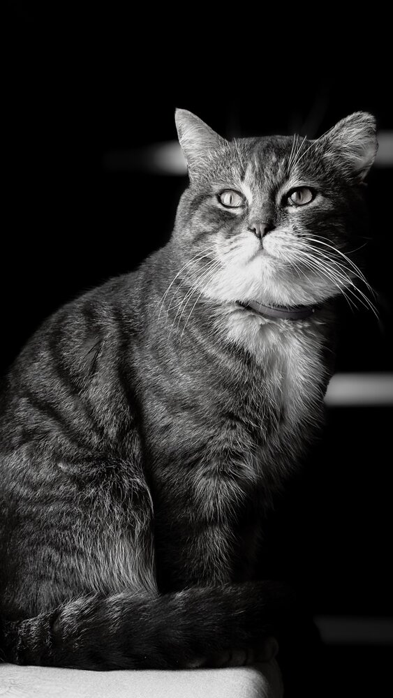 Photograph by Марина Тихонова