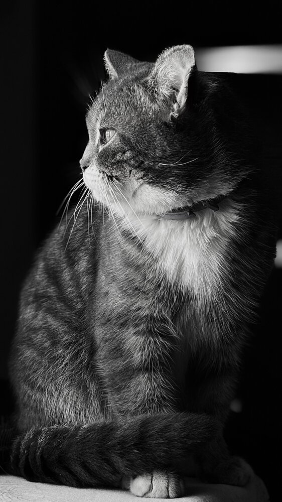 Photograph by Марина Тихонова