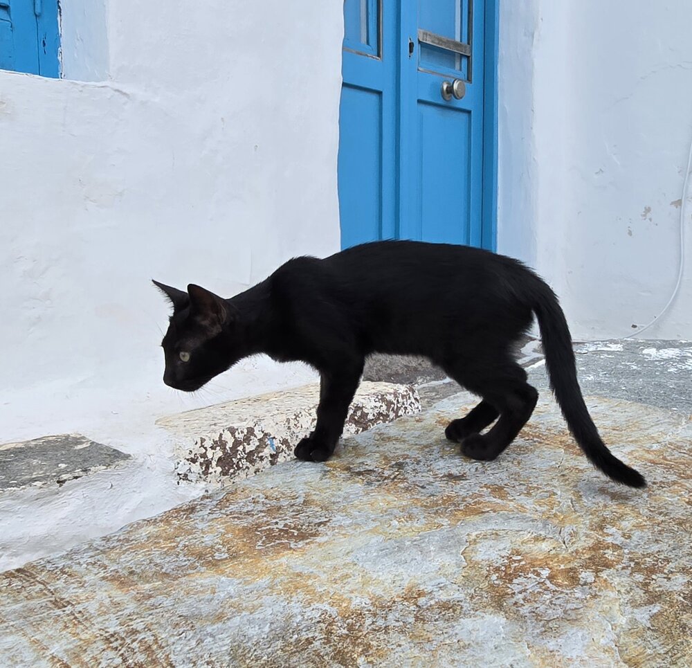 Photograph by Luba Kurchina