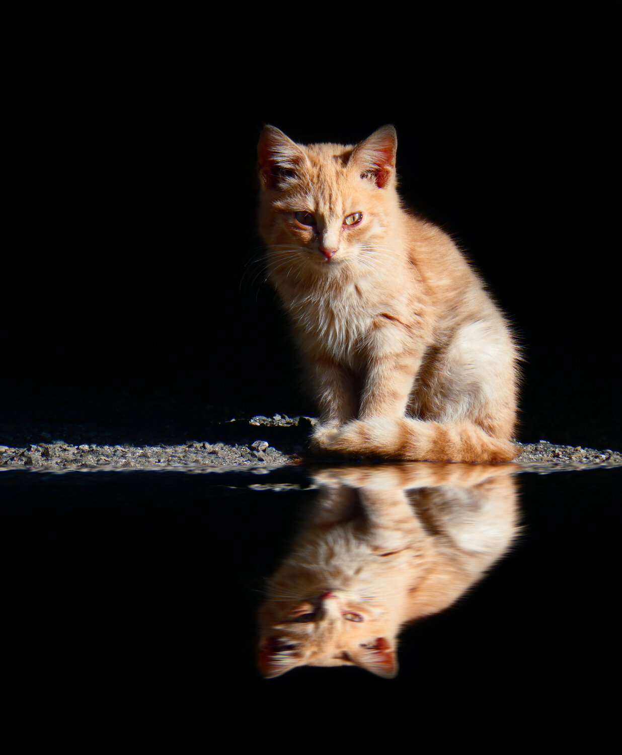 Photo #14057168