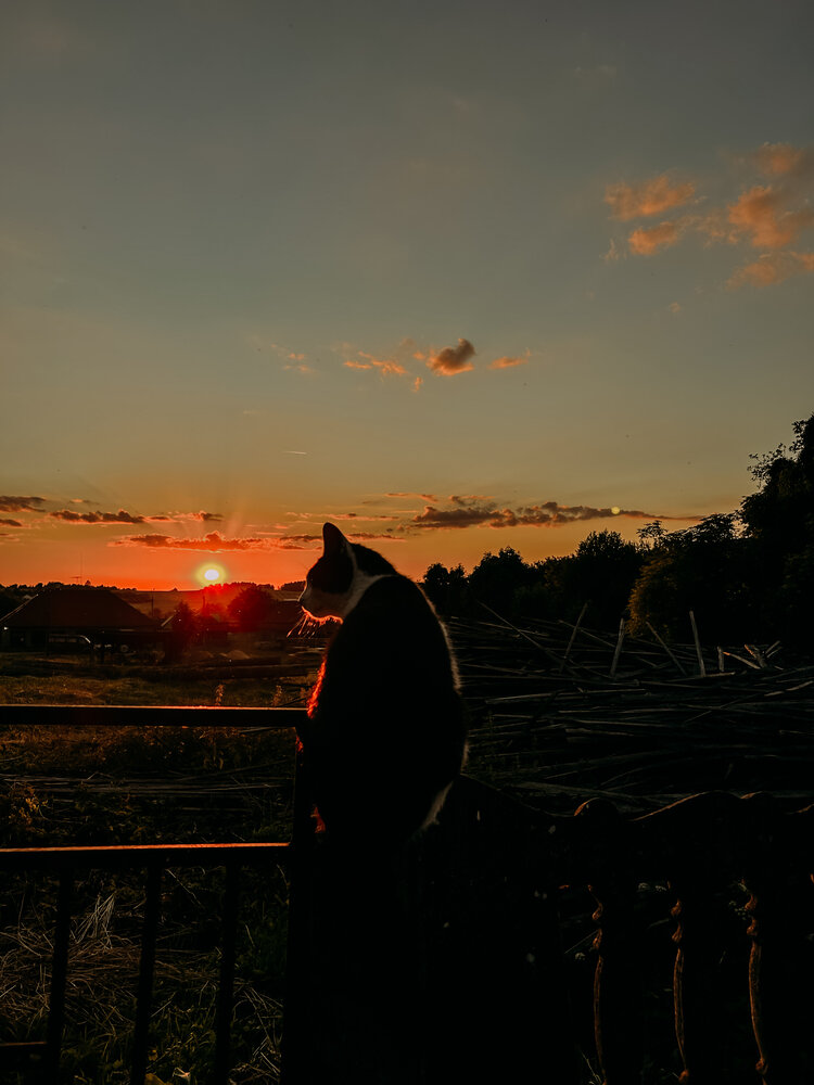 Photo #14057221