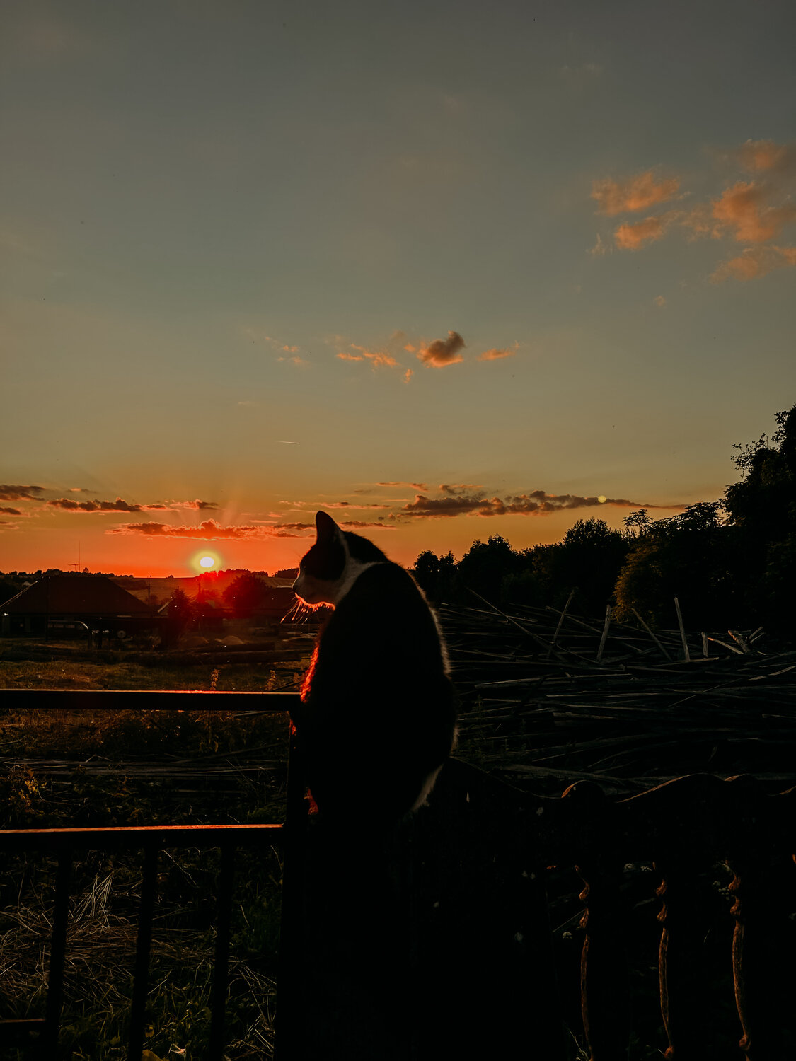 Photo #14057221