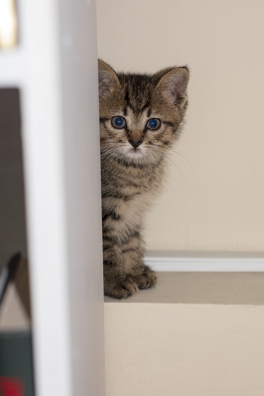 Photo #14057248