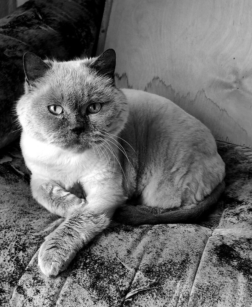 Photograph by Елена Юдина